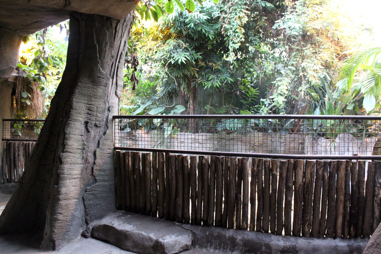 Aalborg Zoo - African Village (Tropical House)