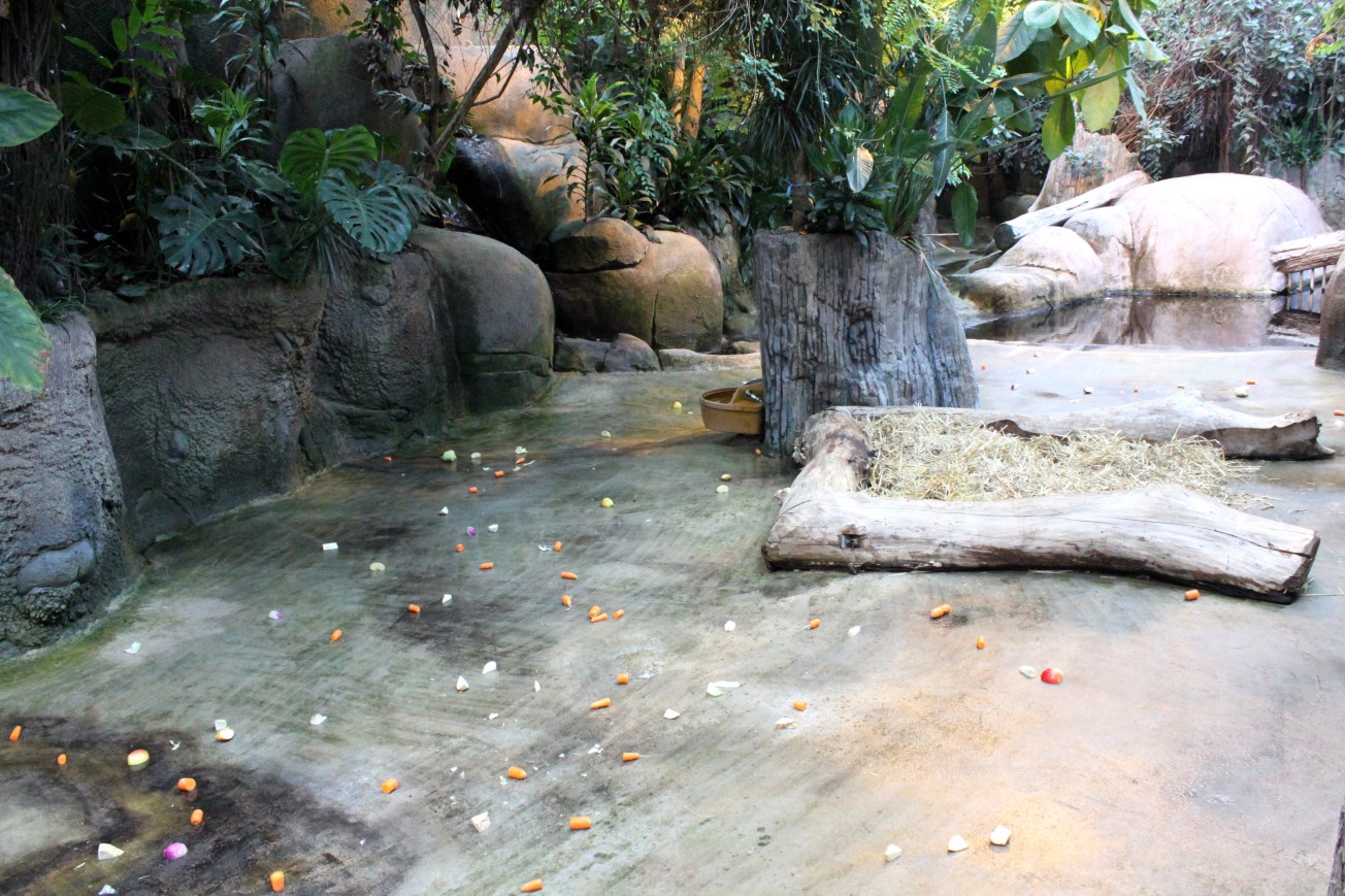 Aalborg Zoo - African Village (Tropical House)