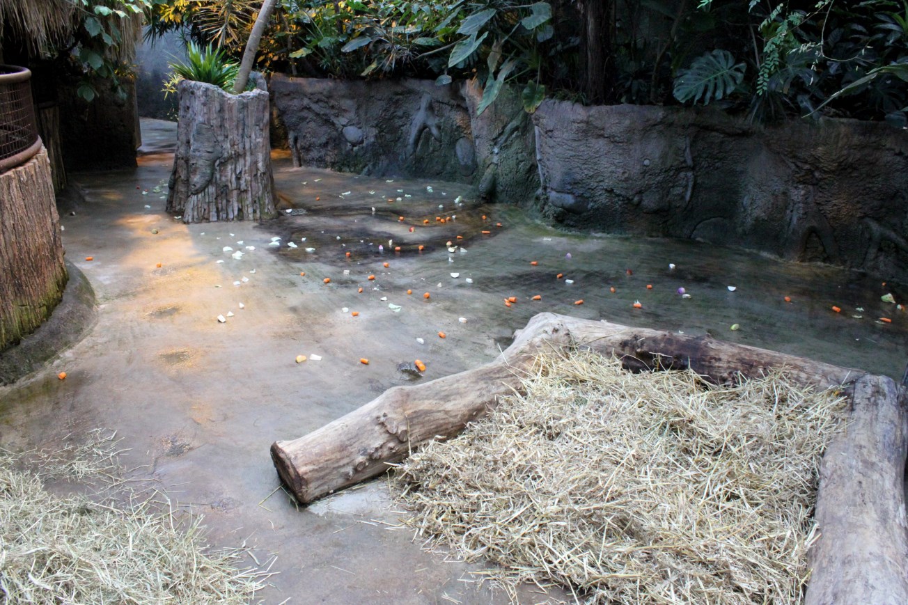 Aalborg Zoo - African Village (Tropical House)