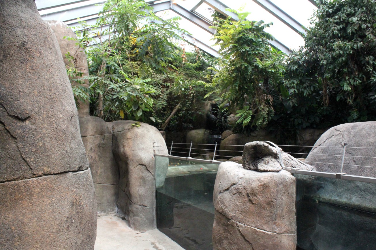 Aalborg Zoo - African Village (Tropical House)