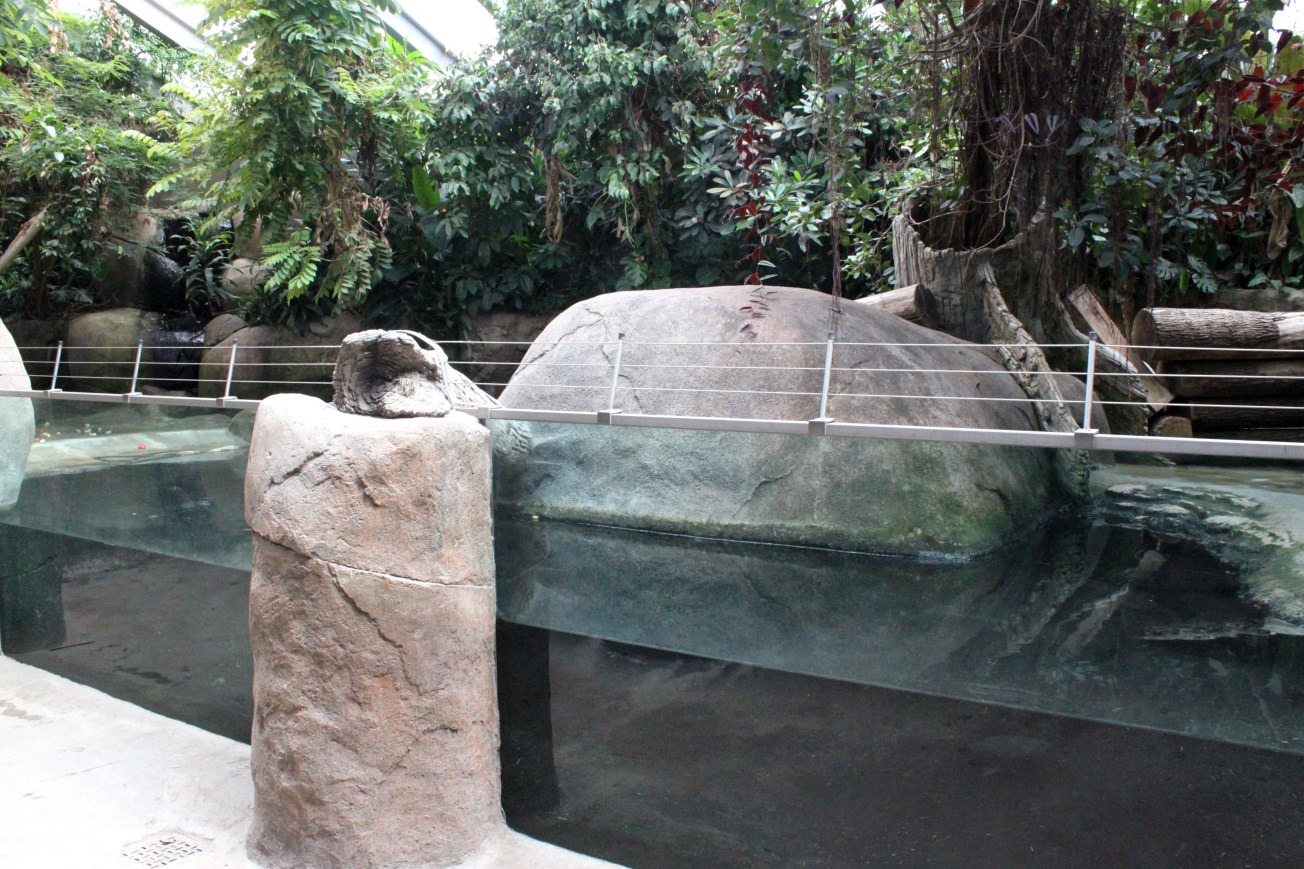 Aalborg Zoo - African Village (Tropical House)