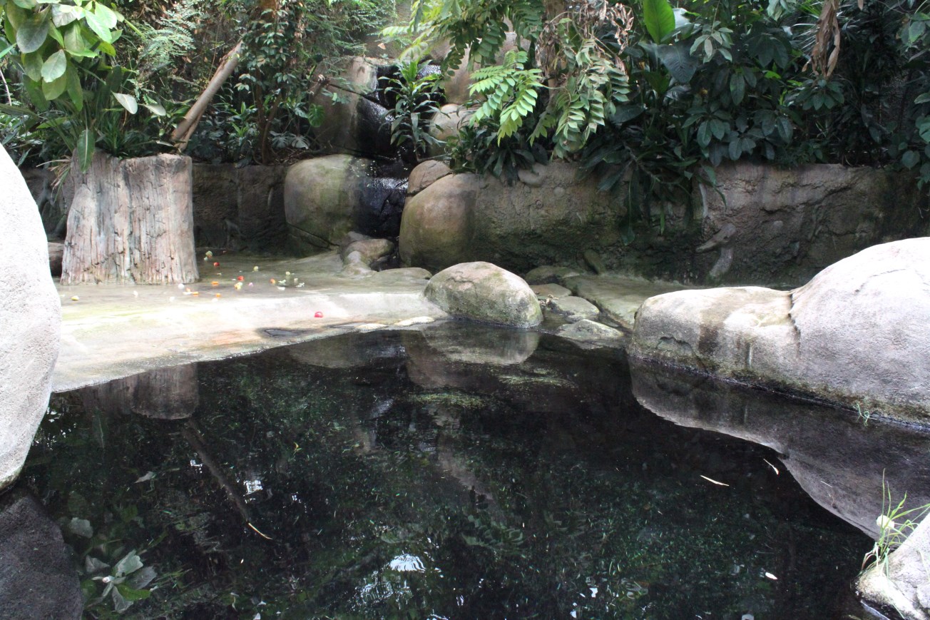 Aalborg Zoo - African Village (Tropical House)