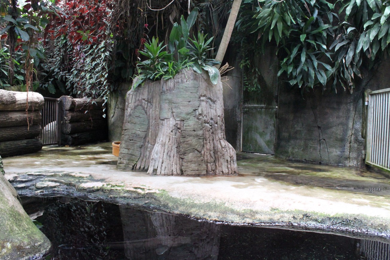 Aalborg Zoo - African Village (Tropical House)