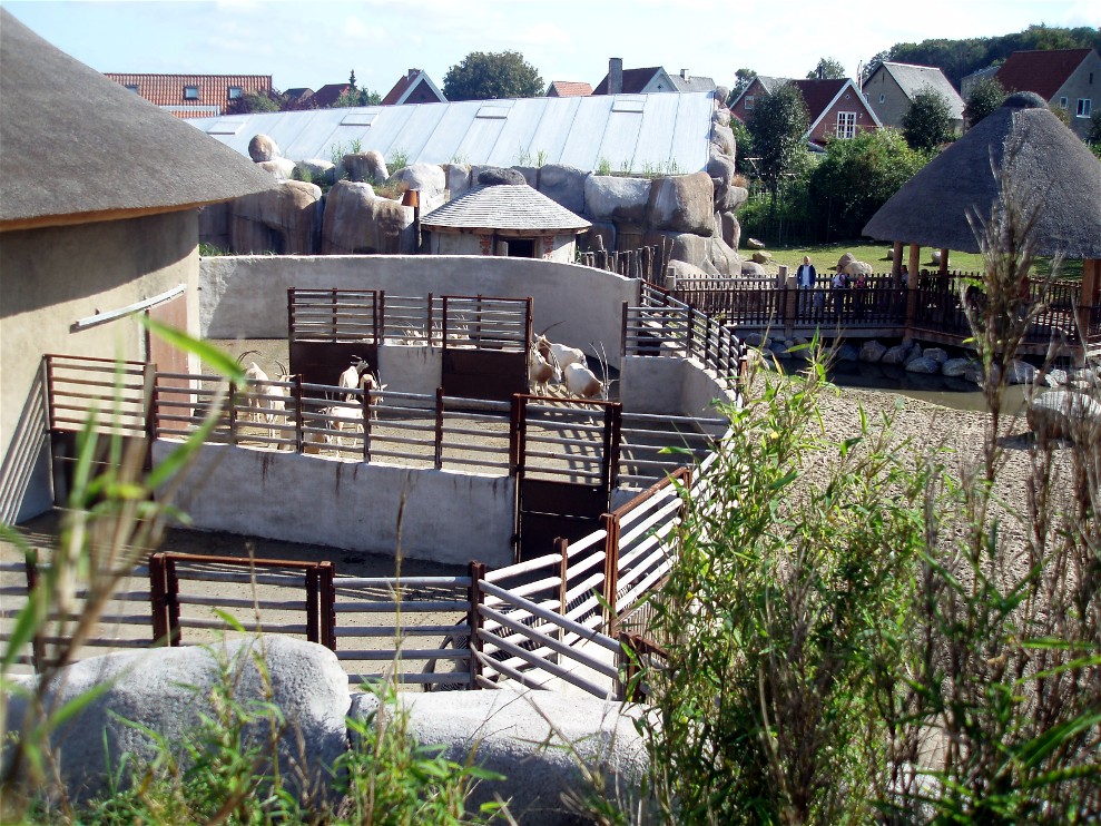 Aalborg Zoo - African Village