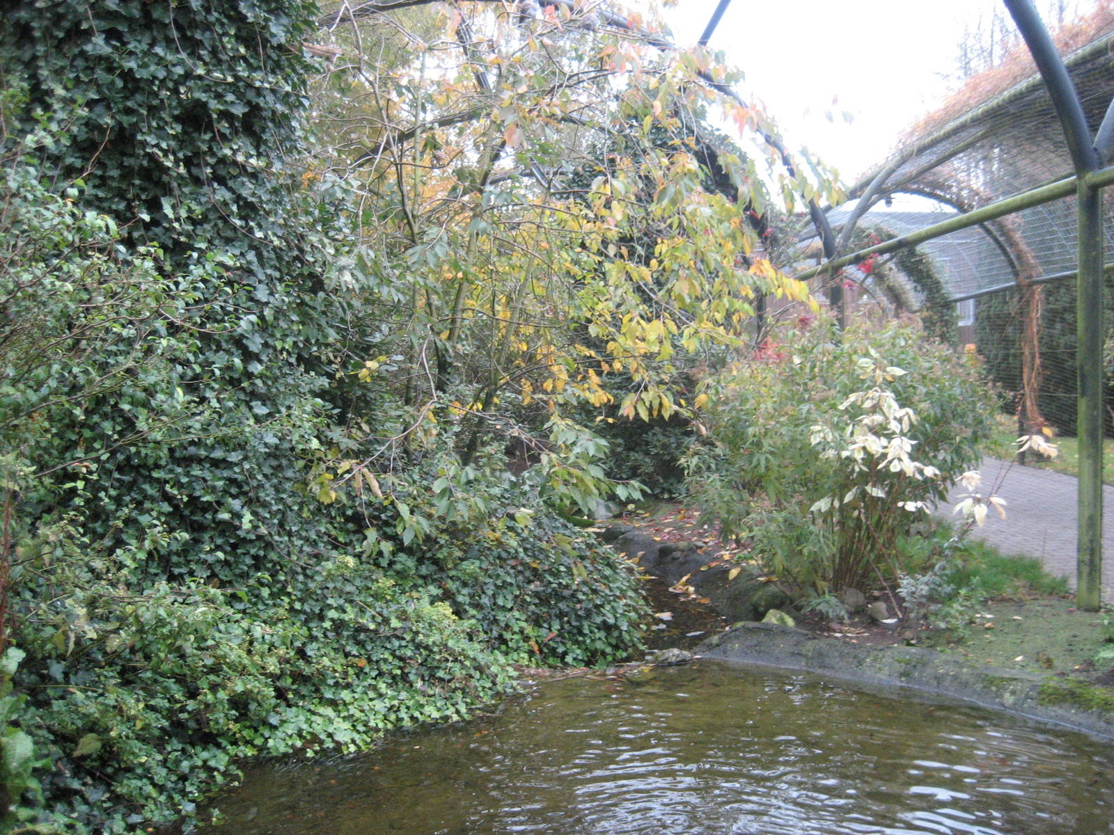 Aalborg Zoo - Aviary