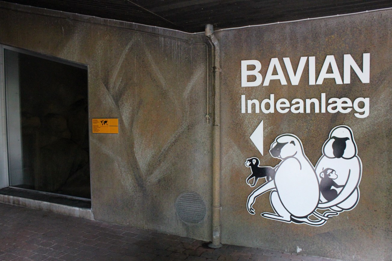 Aalborg Zoo - Baboon House