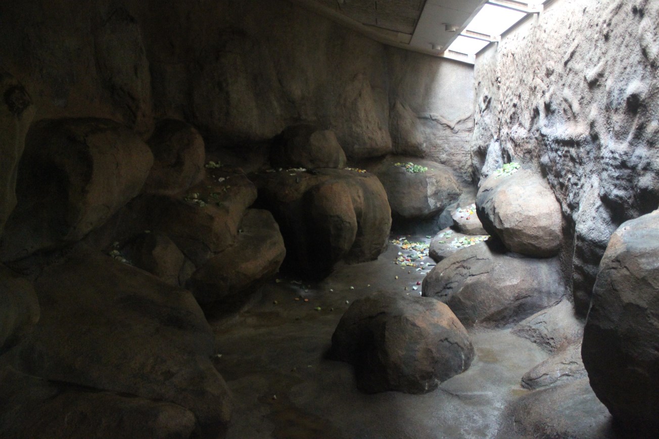 Aalborg Zoo - Baboon House