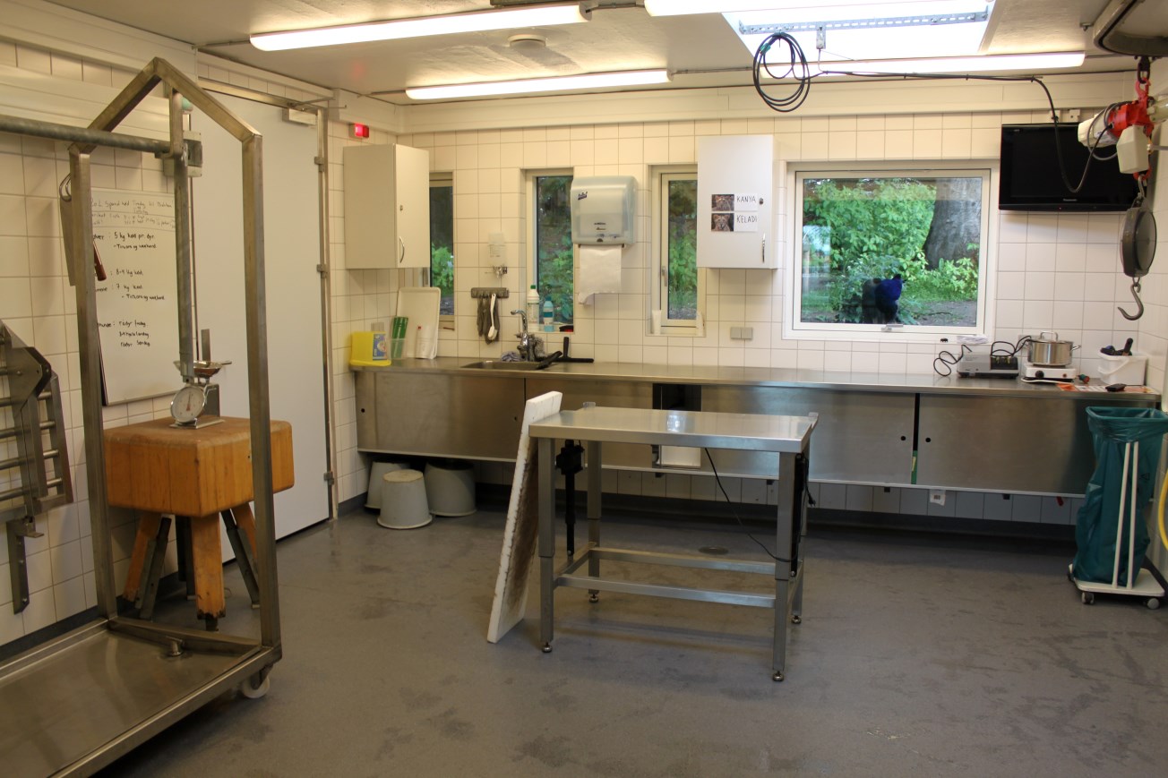 Aalborg Zoo - Carnivore House (Kitchen)