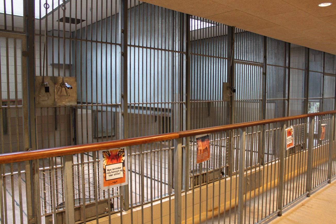 Aalborg Zoo - Carnivore House (Lion)