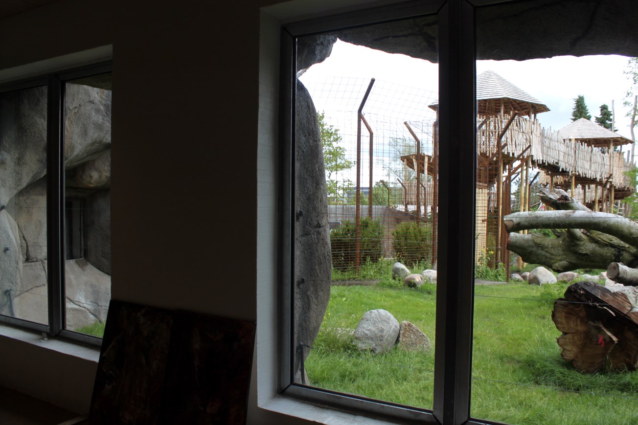 Aalborg Zoo - Carnivore House (Lion)