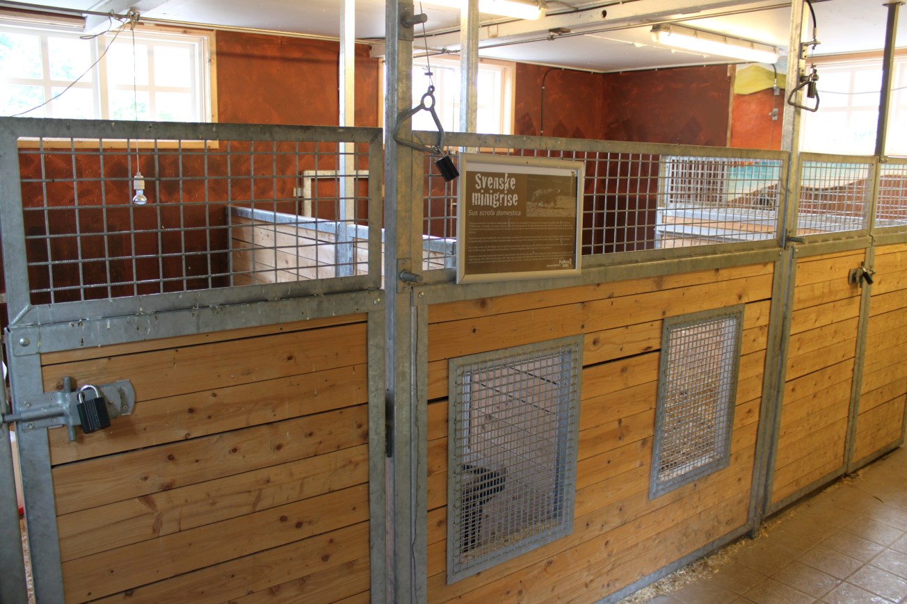 Aalborg Zoo - Children's Zoo (Farmyard)