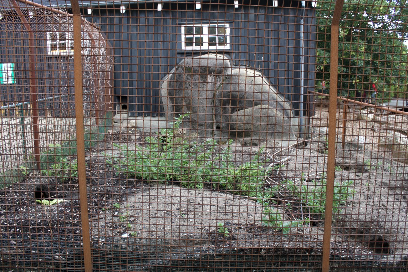 Aalborg Zoo - Children's Zoo (Rabbits)