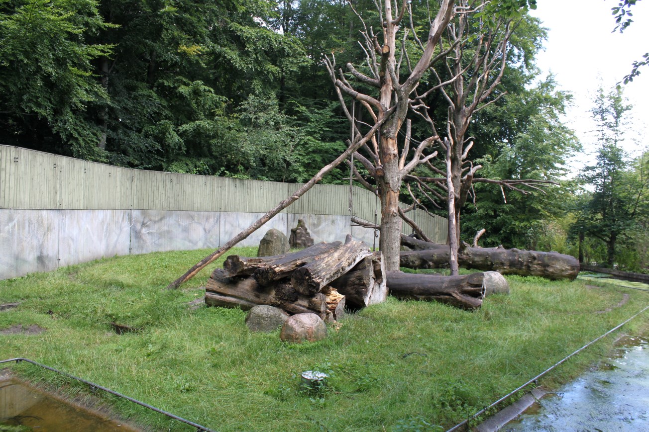 Aalborg Zoo - Chimpanzee exhibit