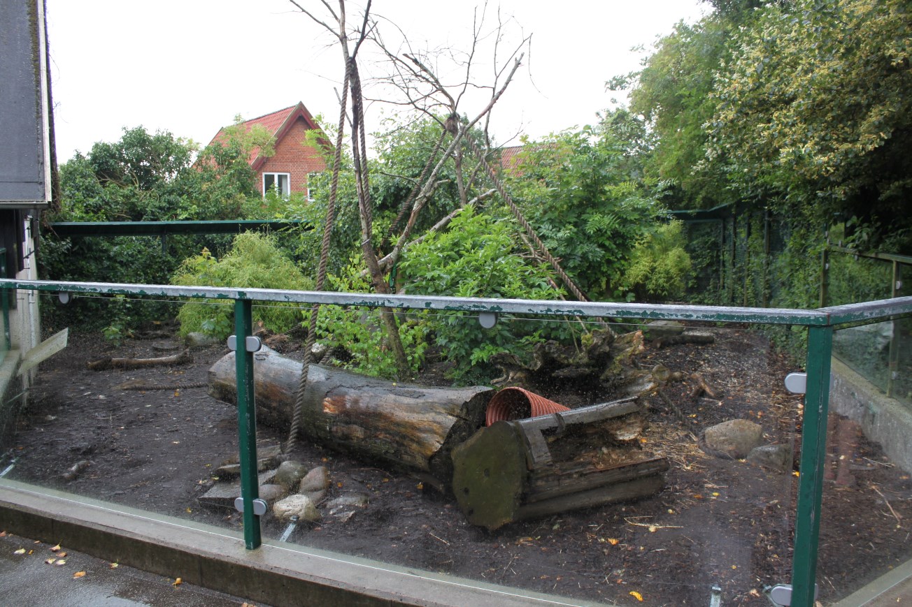 Aalborg Zoo - Coati exhibit