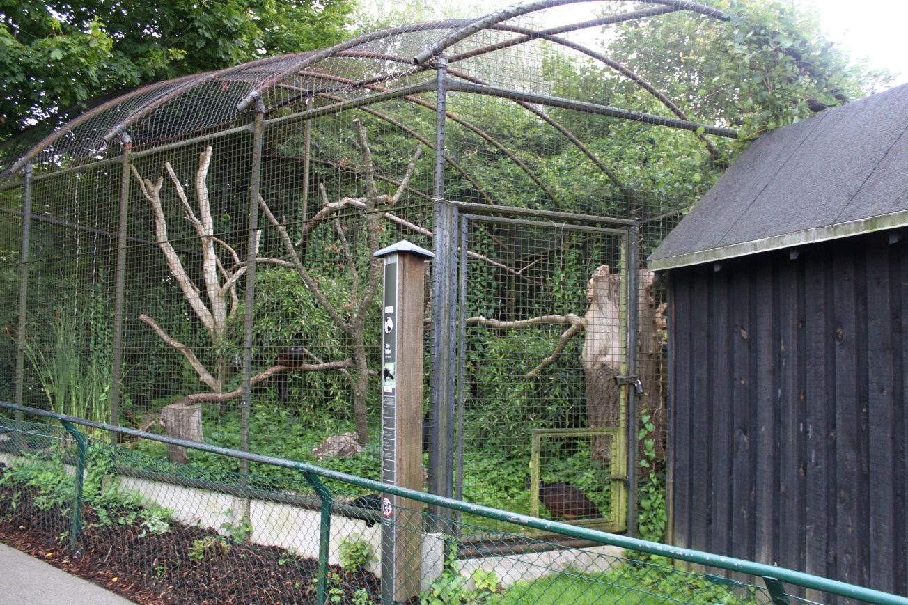 Aalborg Zoo - Curassow aviary