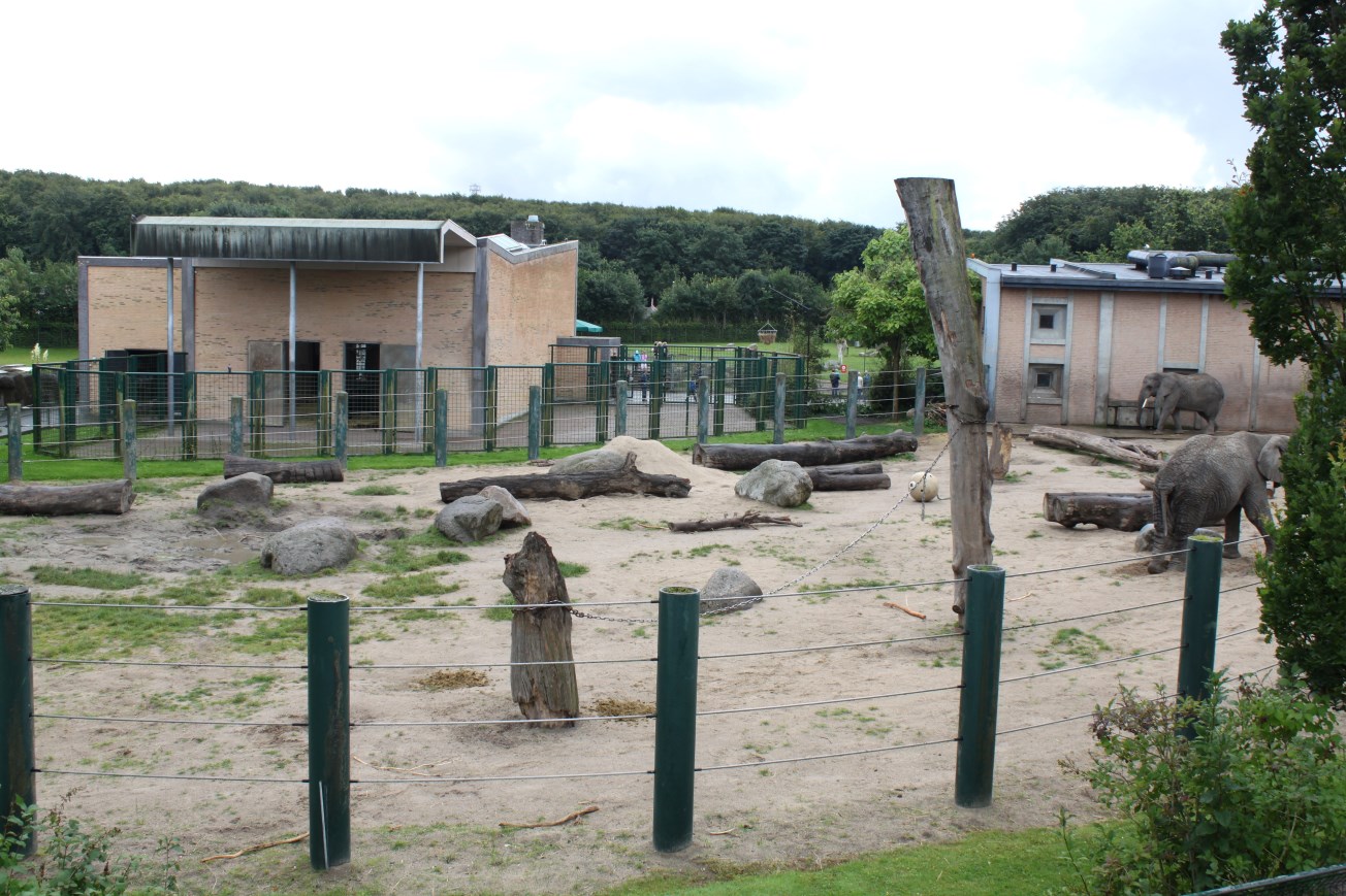 Aalborg Zoo - Elephant exhibit