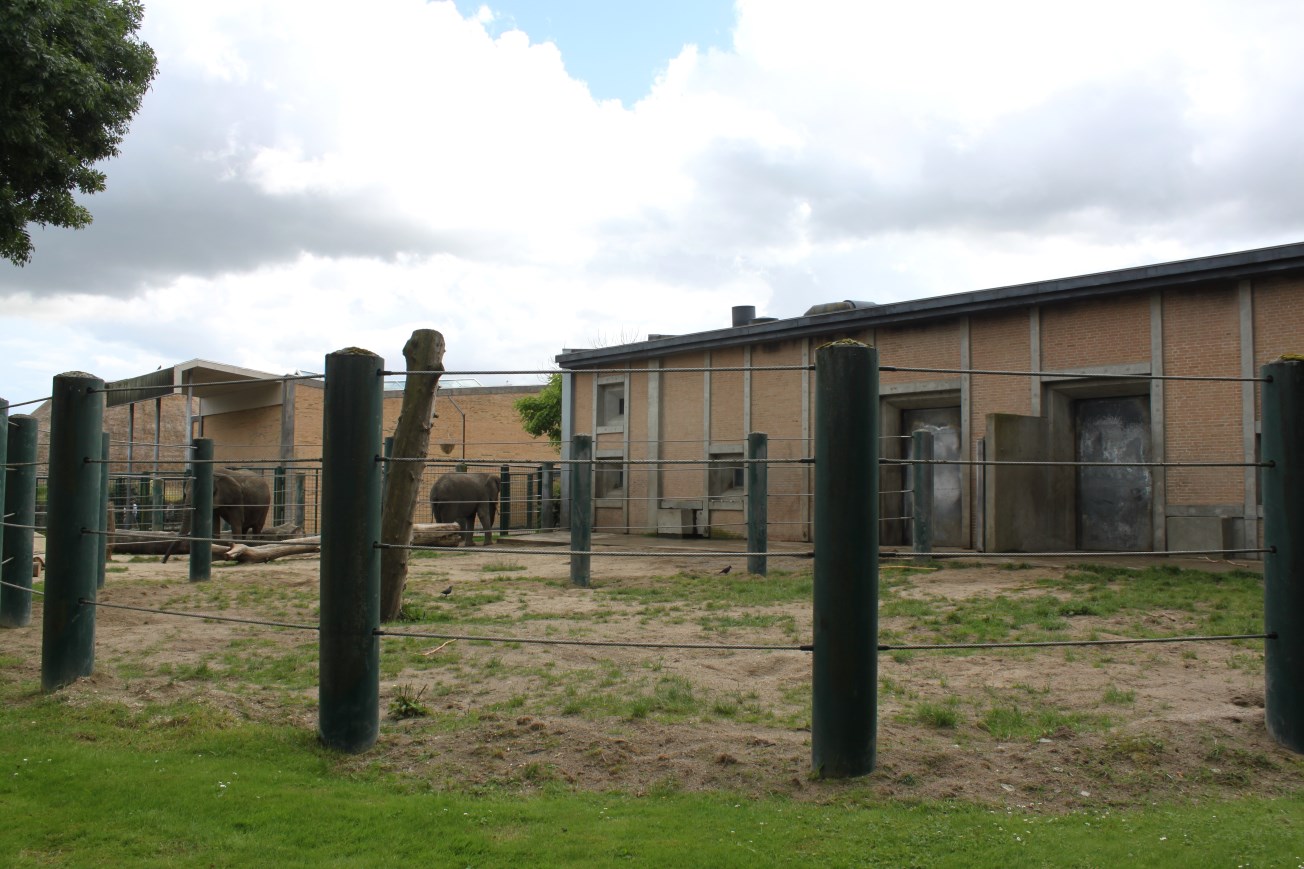 Aalborg Zoo - Elephant exhibit