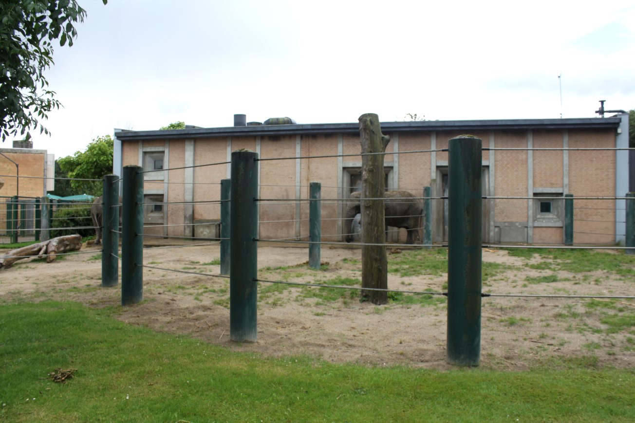 Aalborg Zoo - Elephant exhibit