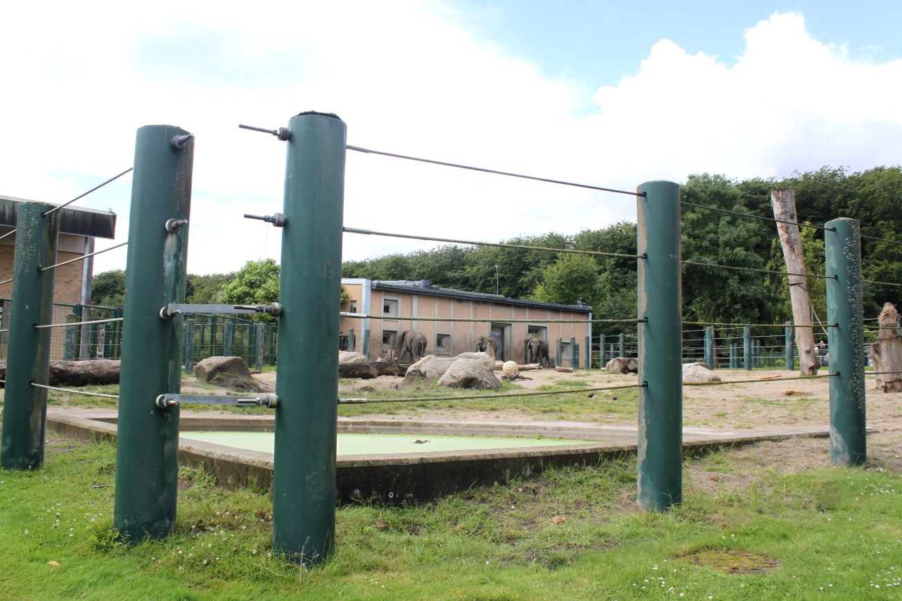 Aalborg Zoo - Elephant exhibit