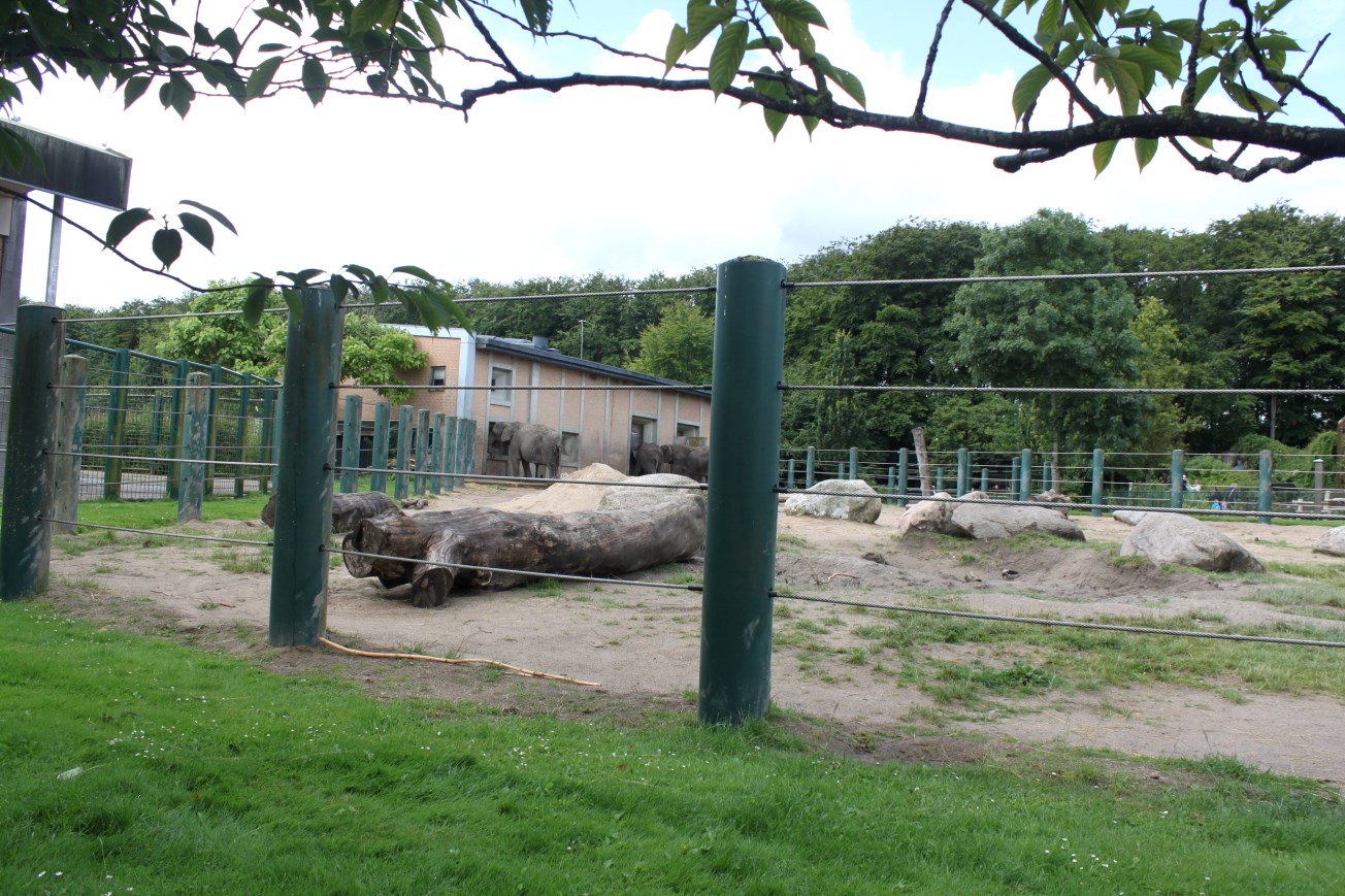 Aalborg Zoo - Elephant exhibit