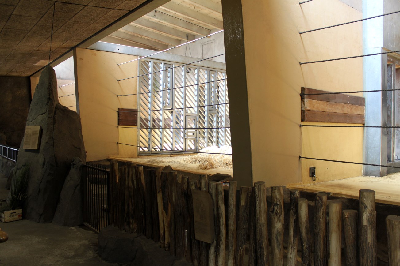 Aalborg Zoo - Elephant House