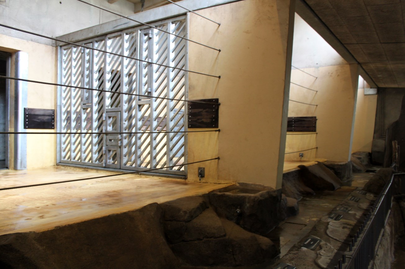 Aalborg Zoo - Elephant House