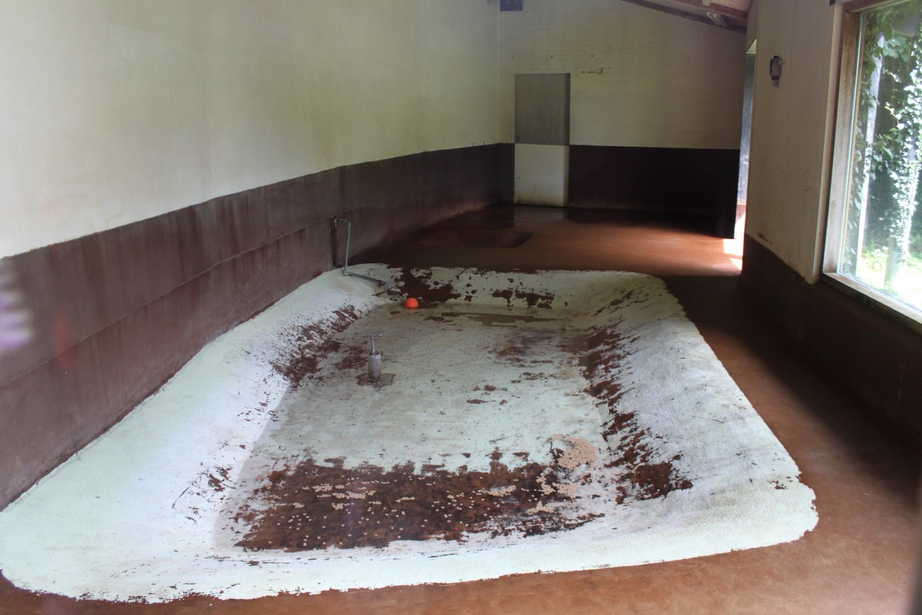 Aalborg Zoo - Flamingo House