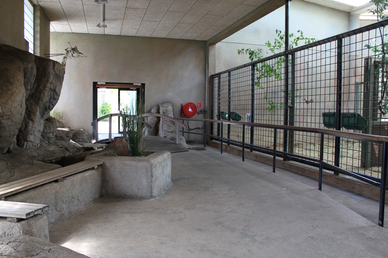 Aalborg Zoo - Giraffe House