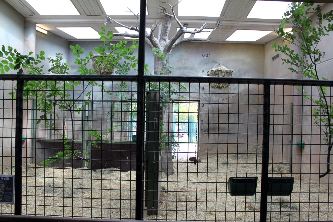 Aalborg Zoo - Giraffe House