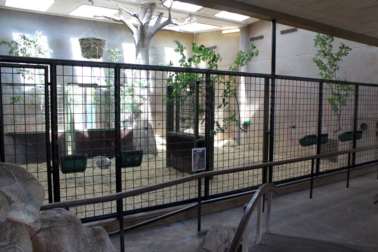 Aalborg Zoo - Giraffe House