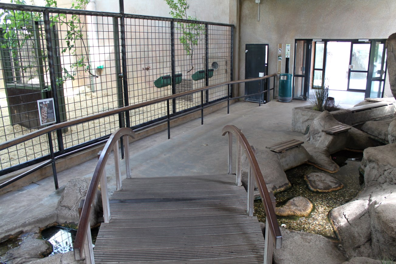 Aalborg Zoo - Giraffe House