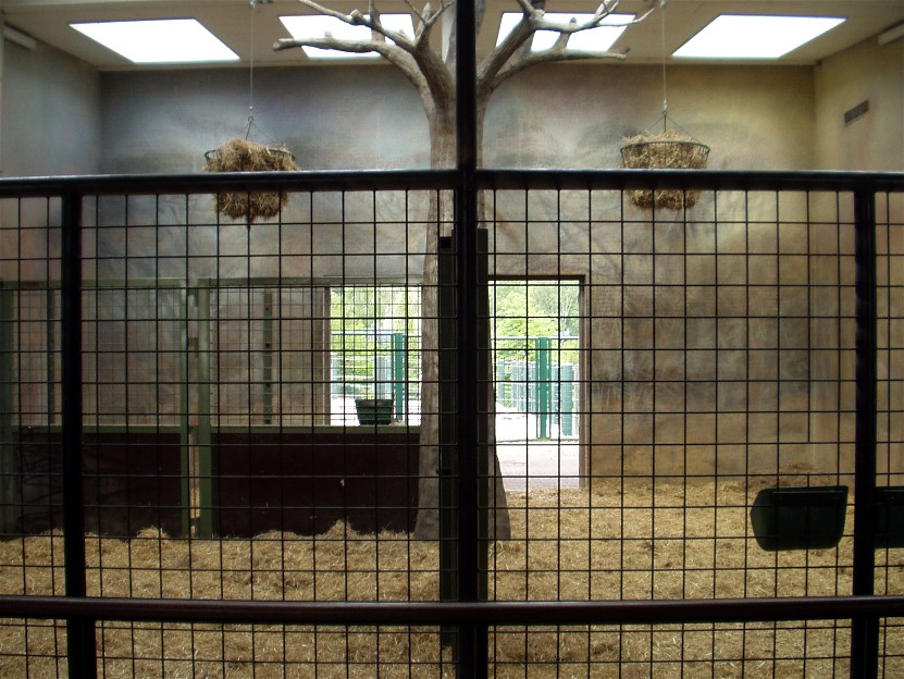 Aalborg Zoo - Giraffe House