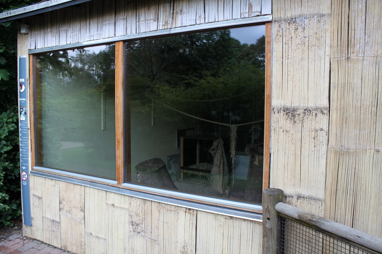 Aalborg Zoo - Lemur exhibit