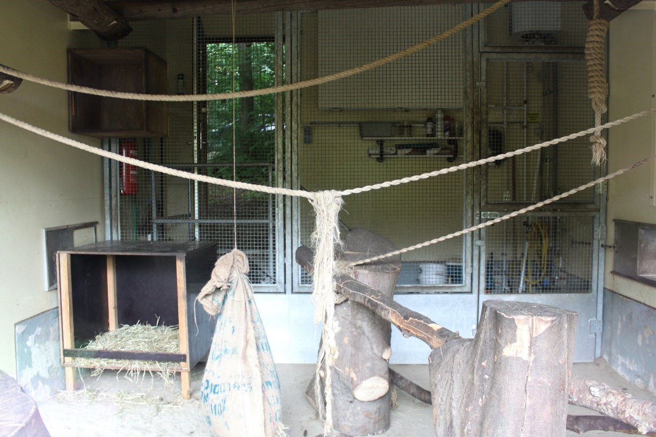 Aalborg Zoo - Lemur exhibit