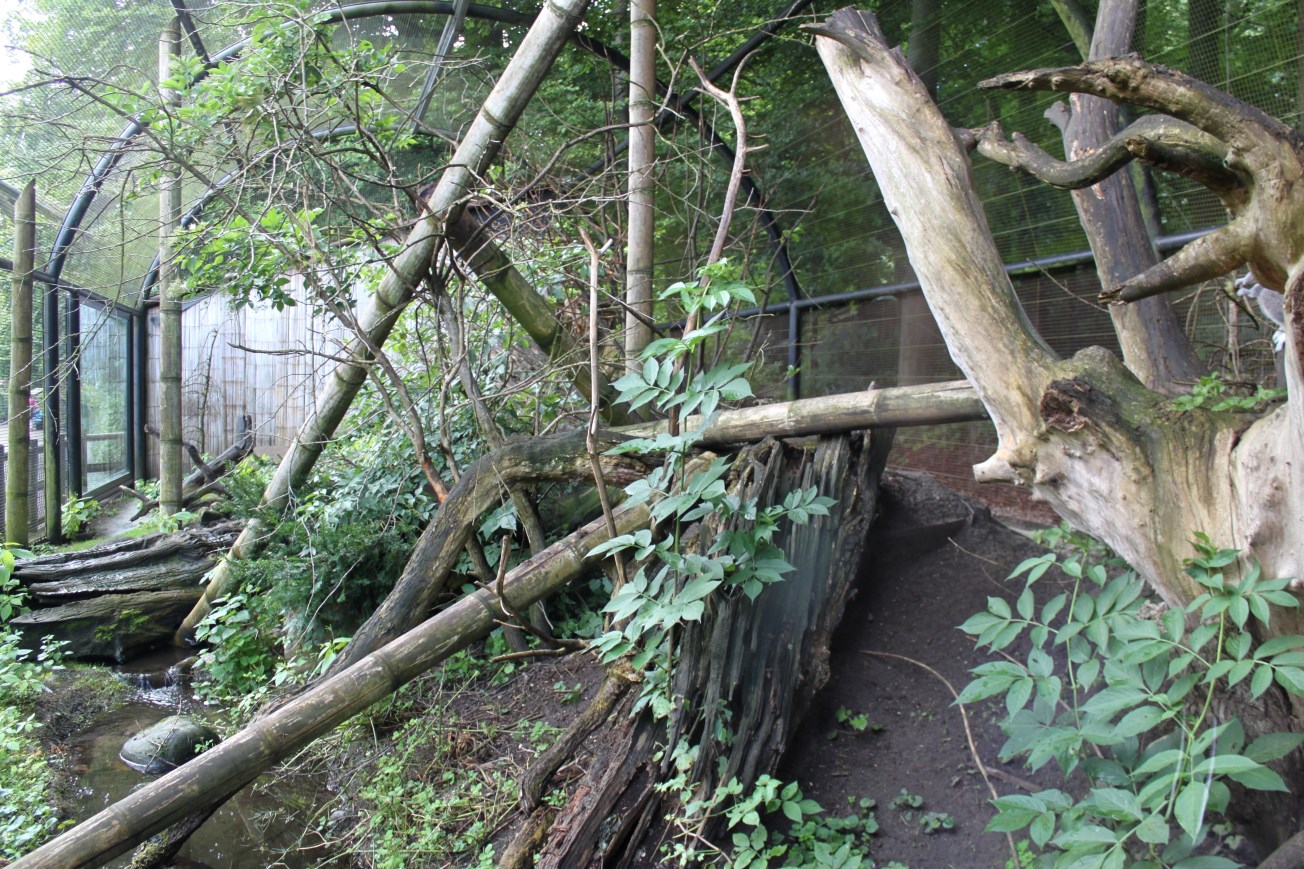 Aalborg Zoo - Lemur exhibit