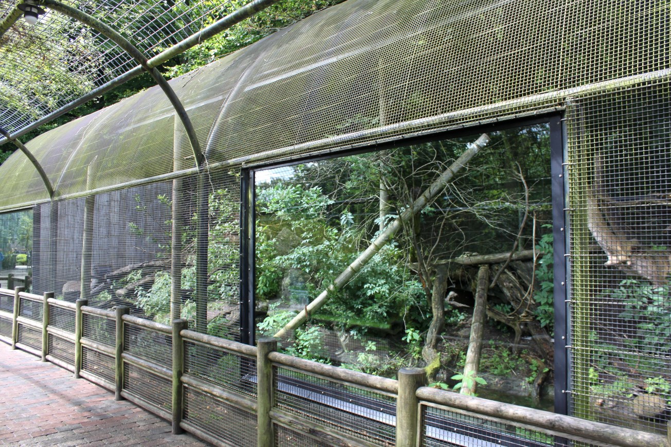 Aalborg Zoo - Lemur exhibit