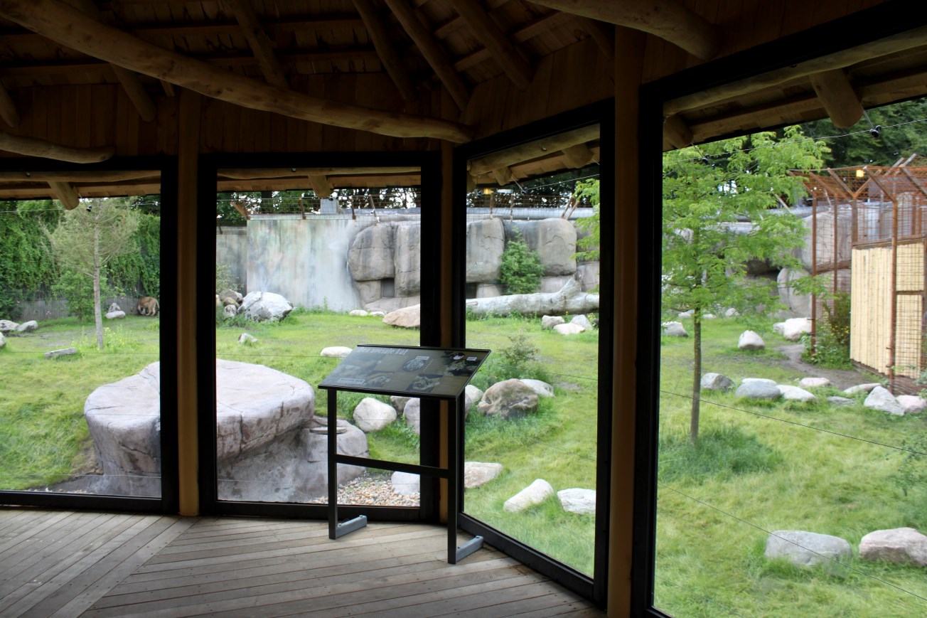Aalborg Zoo - Lion exhibit