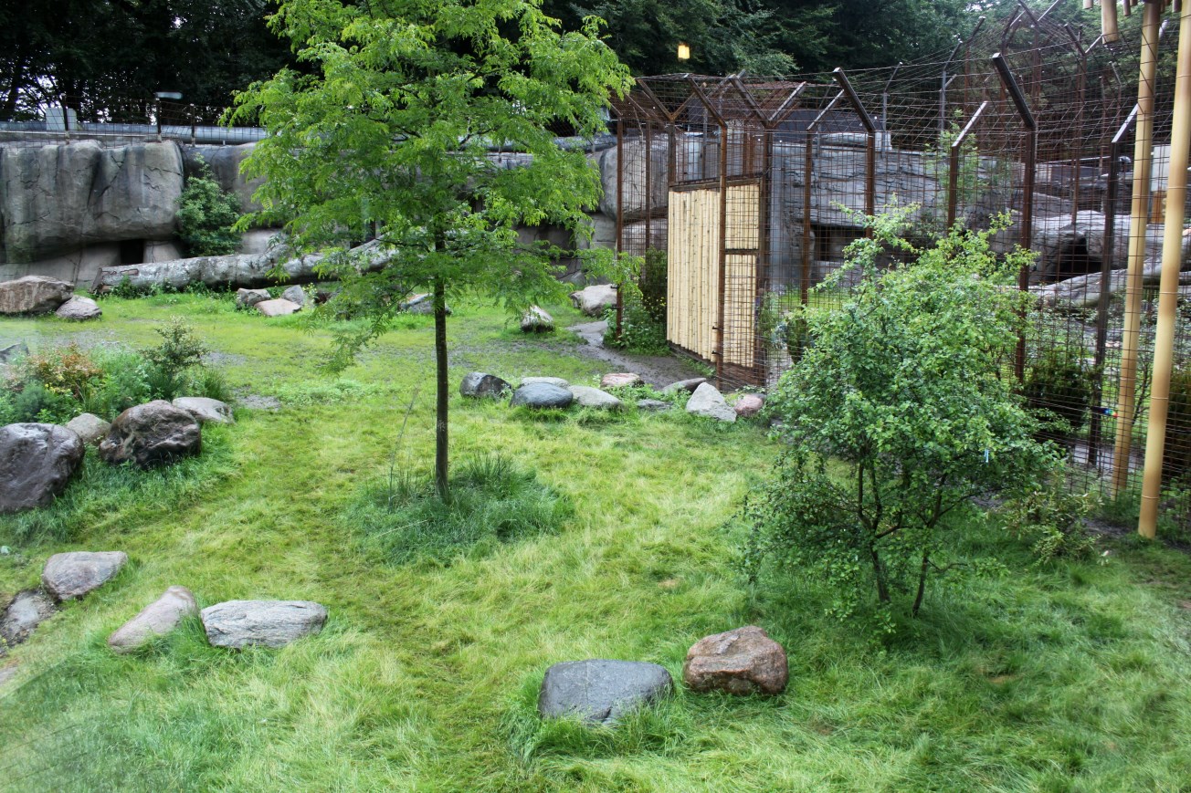 Aalborg Zoo - Lion exhibit