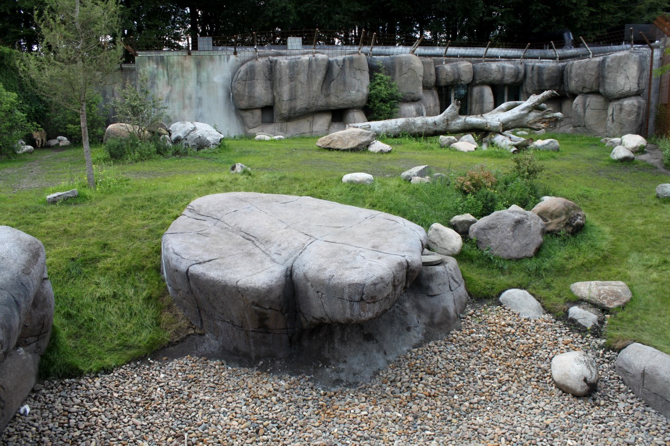 Aalborg Zoo - Lion exhibit