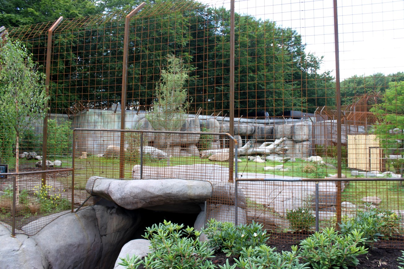 Aalborg Zoo - Lion exhibit
