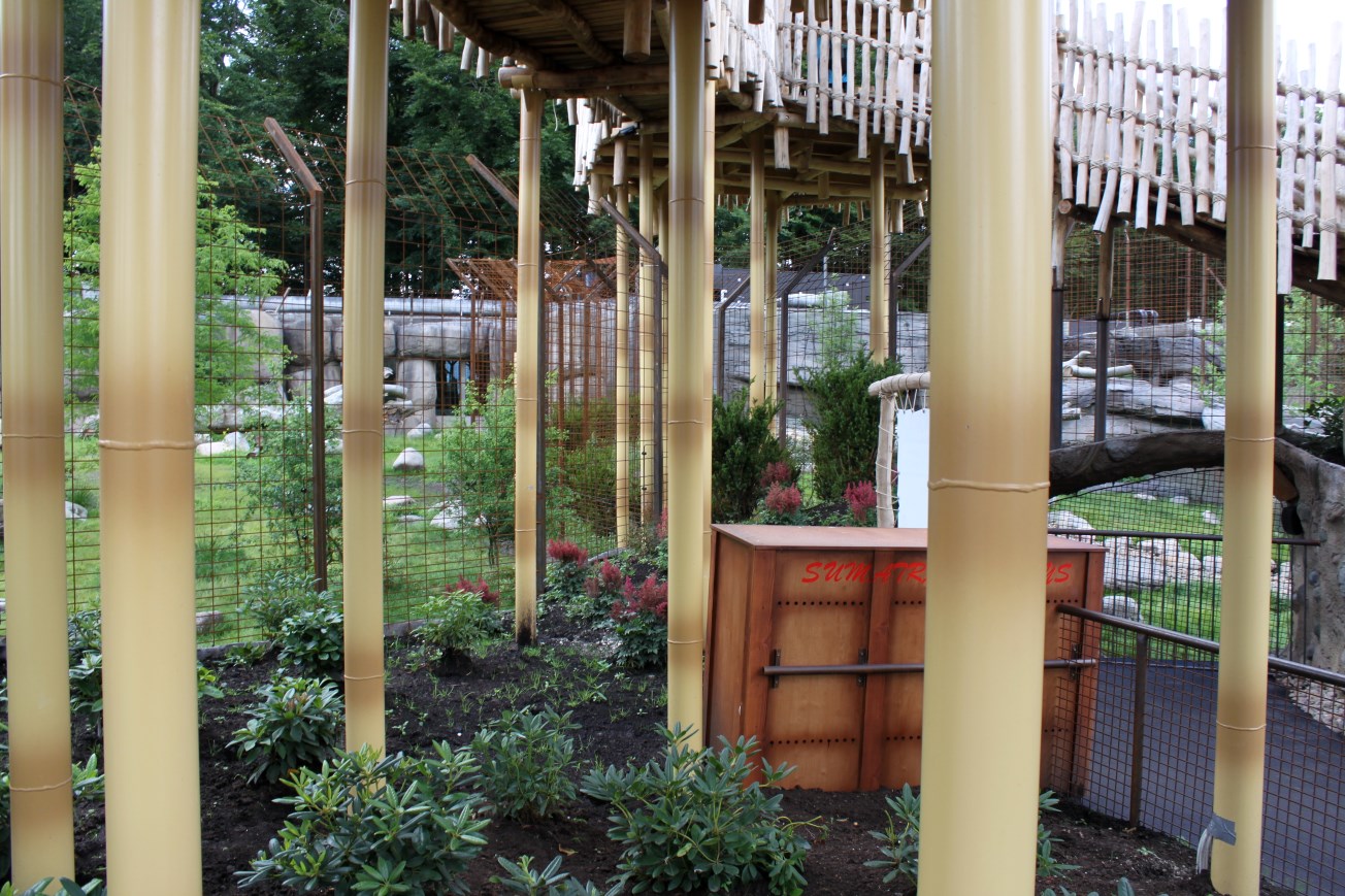 Aalborg Zoo - Lion/tiger exhibits