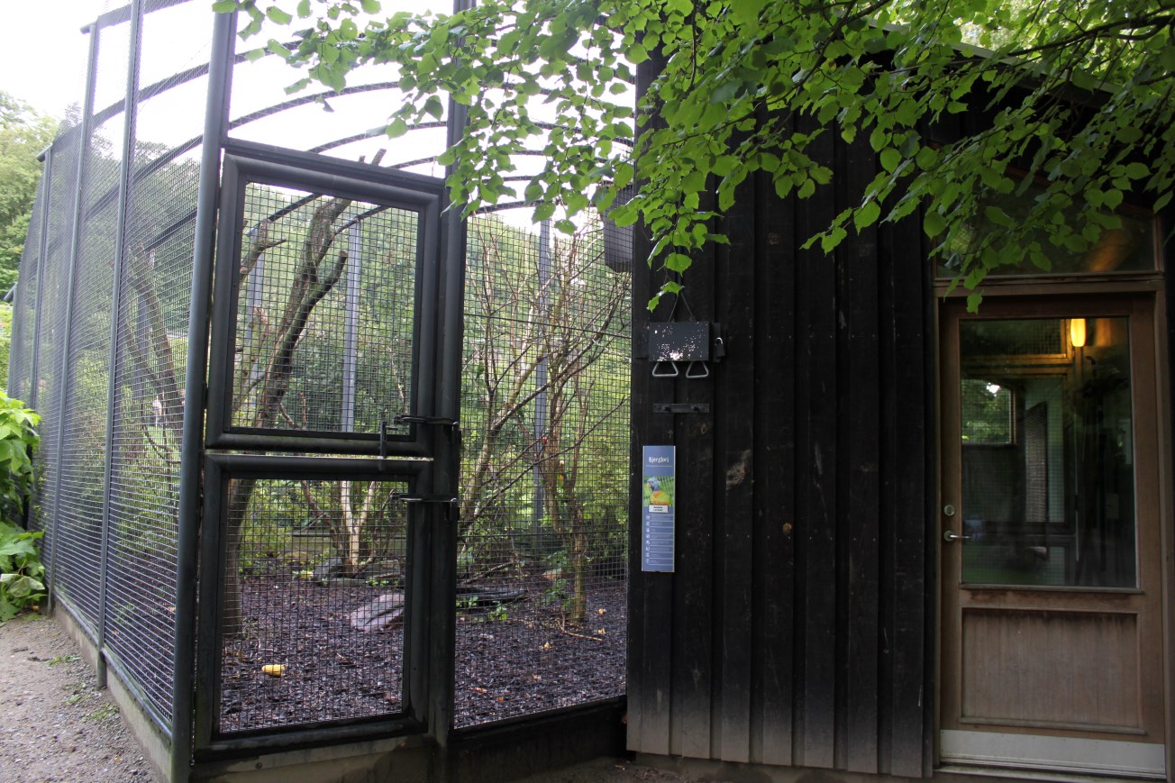 Aalborg Zoo - Lorikeet Aviary