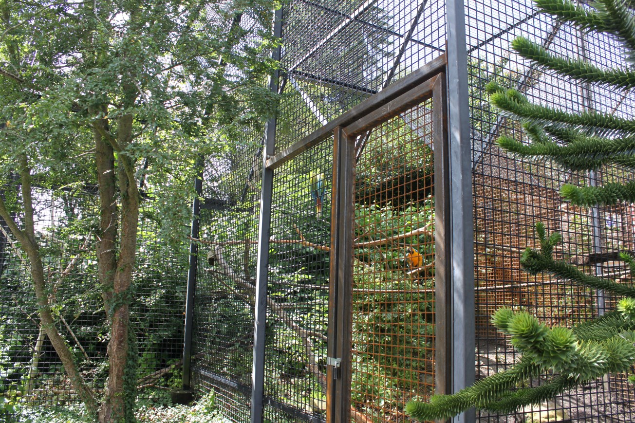 Aalborg Zoo - Macaw aviary