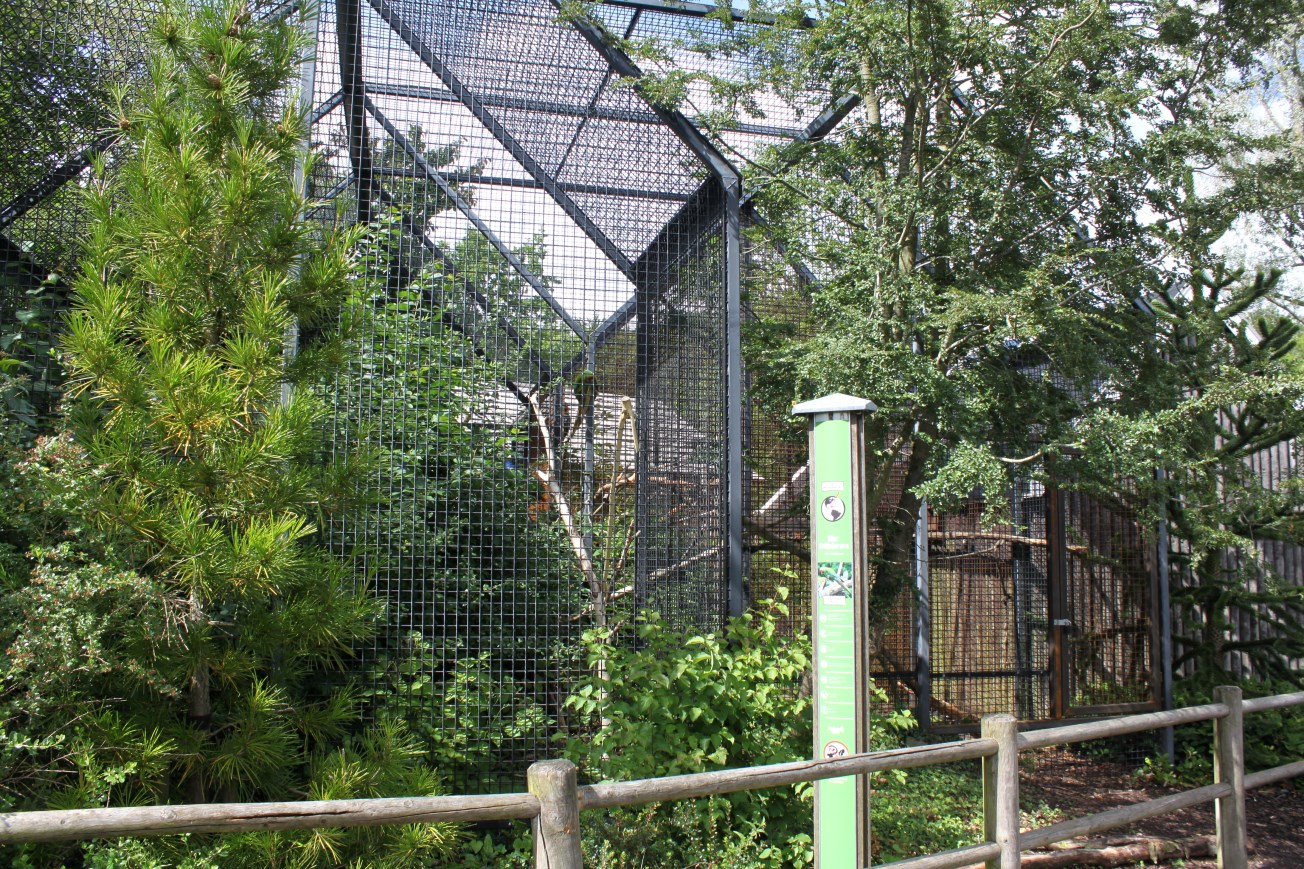 Aalborg Zoo - Macaw aviary