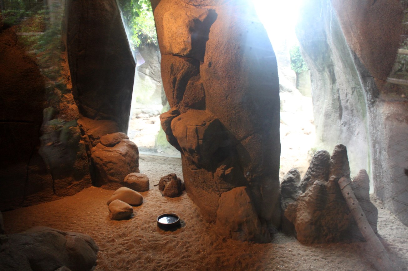 Aalborg Zoo - Meerkat exhibit
