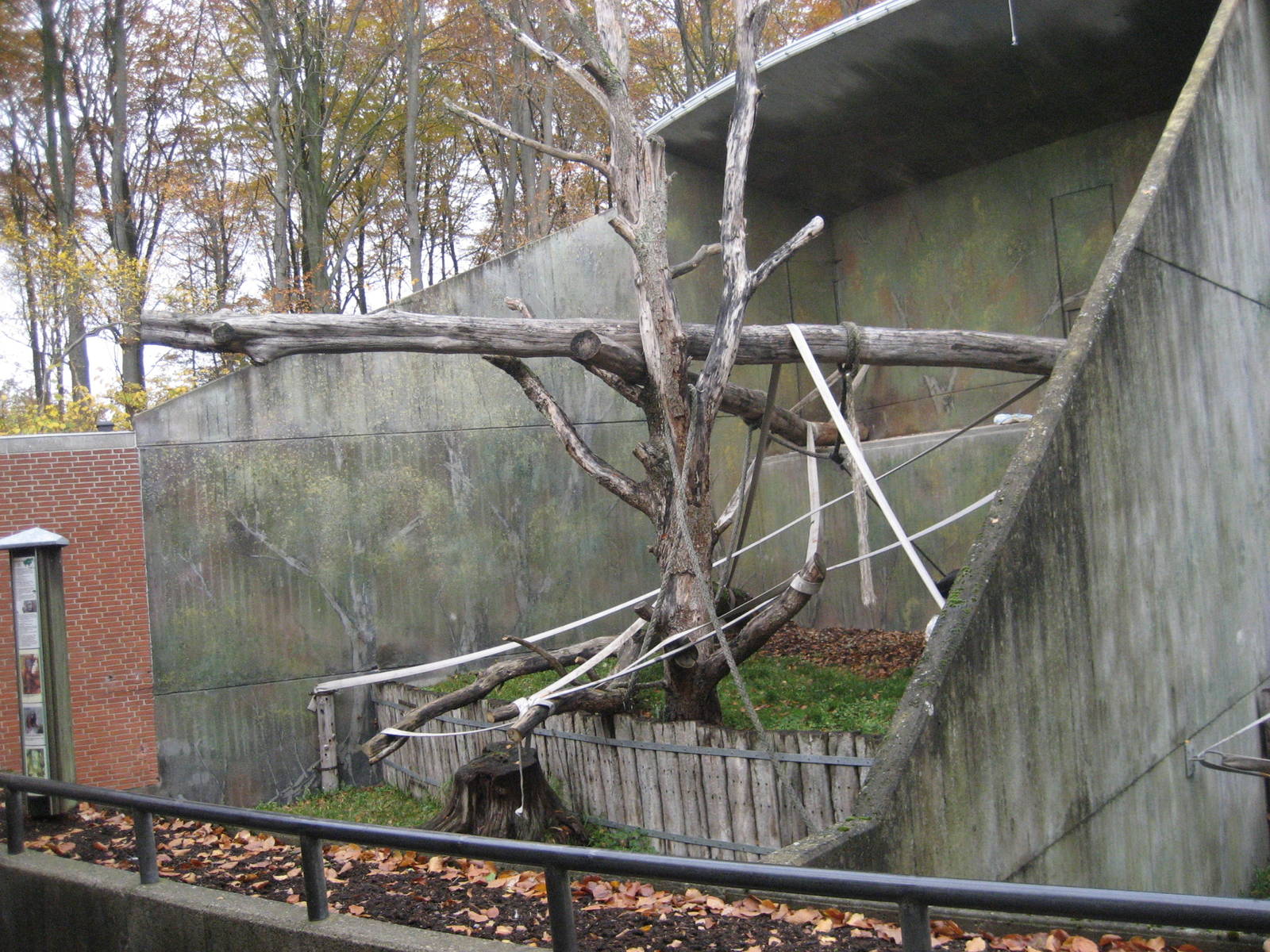 Aalborg Zoo - Orang-utan exhibit outdoors