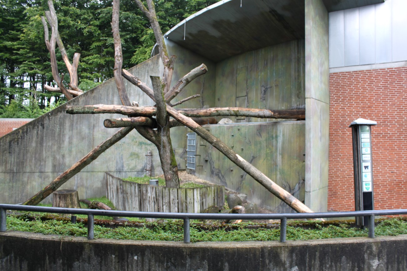 Aalborg Zoo - Orangutan exhibit (1)