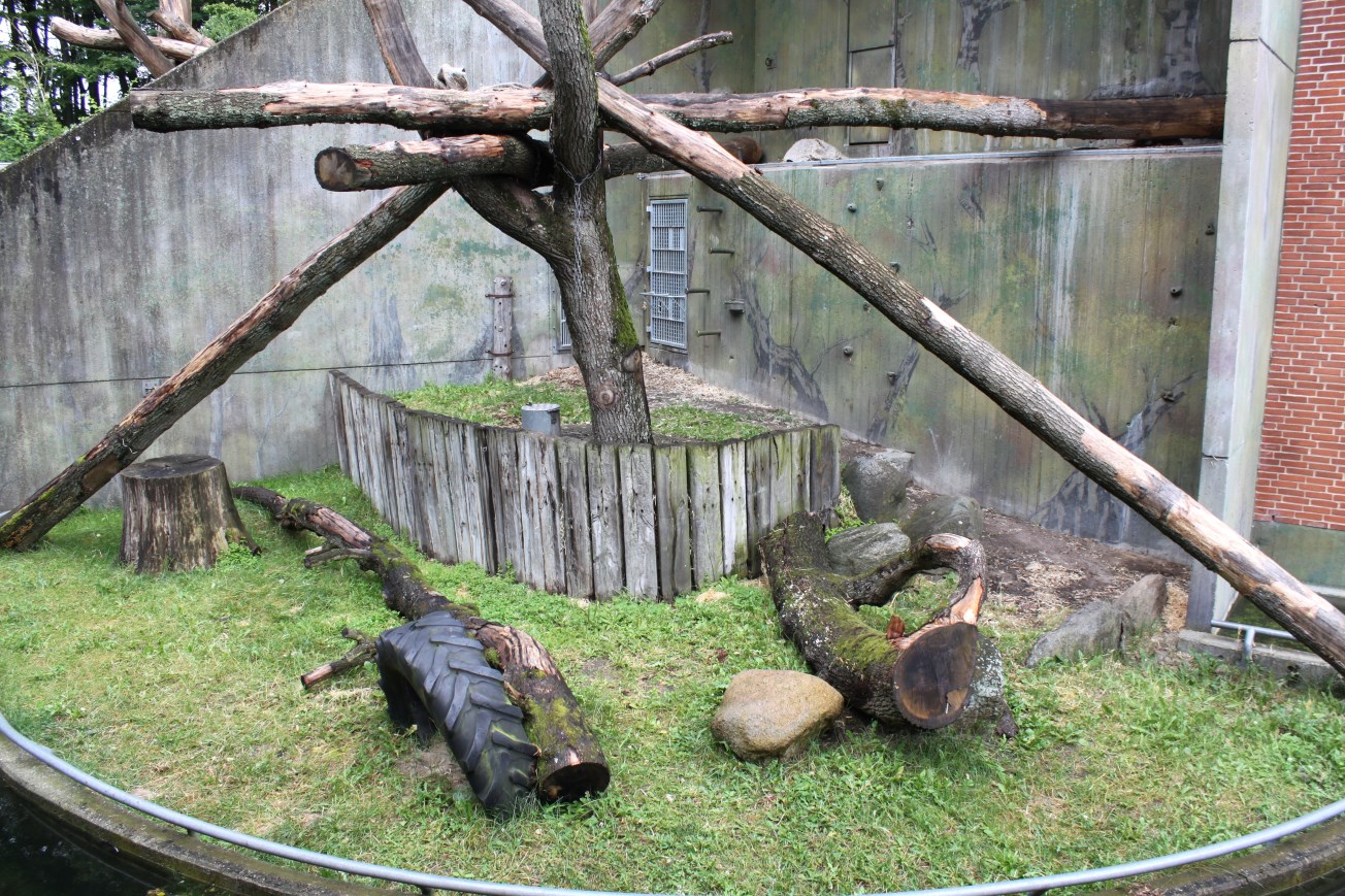 Aalborg Zoo - Orangutan exhibit (1)