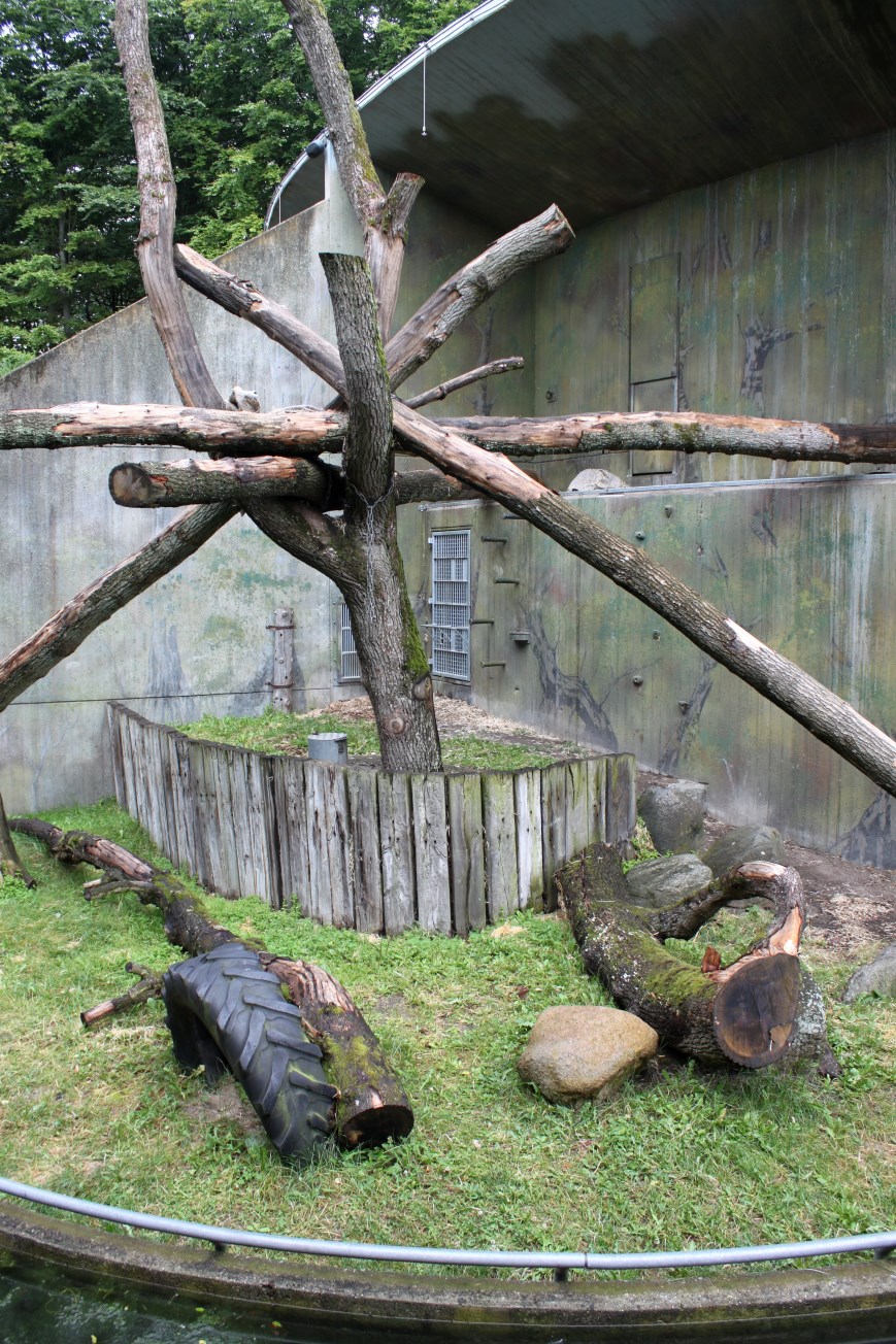 Aalborg Zoo - Orangutan exhibit (1)