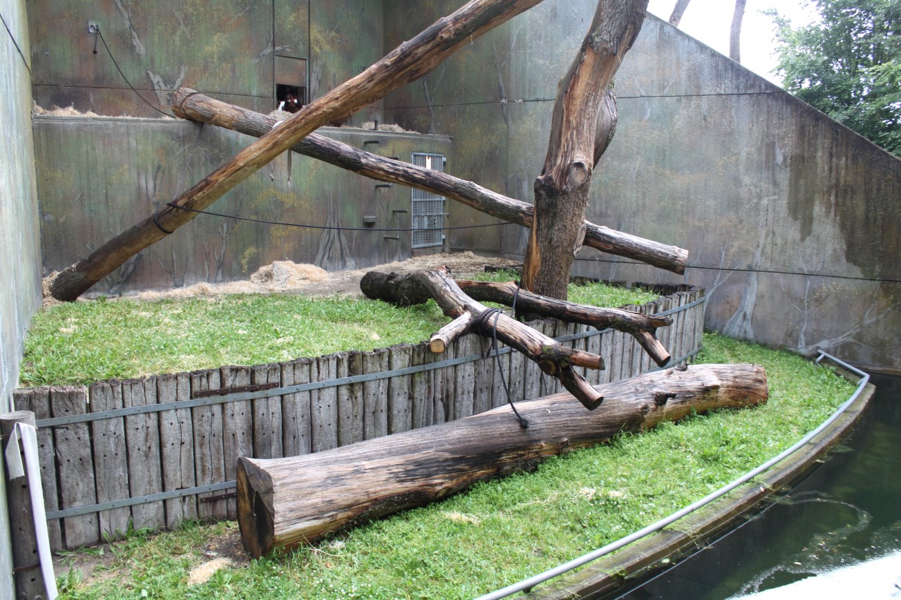 Aalborg Zoo - Orangutan exhibit (2)